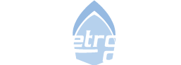 Metro Cruise Services